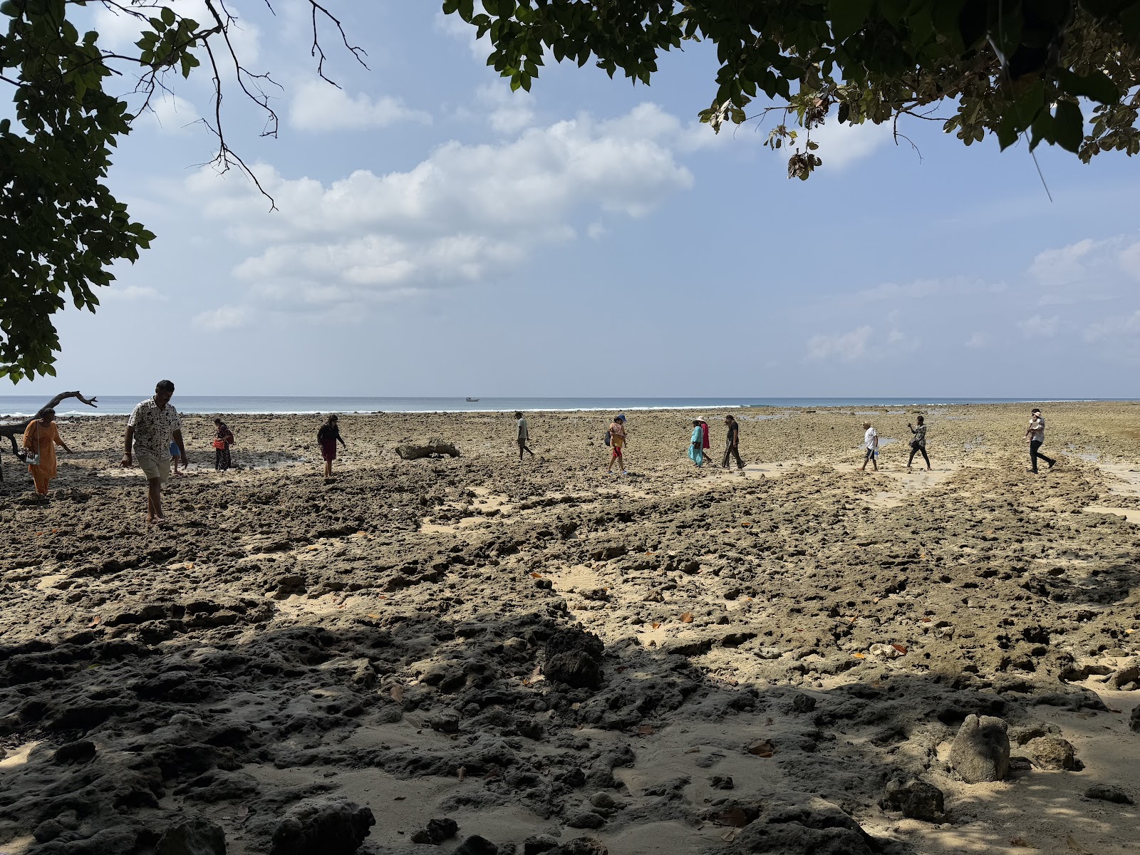 Secluded Islet Picnic Spots