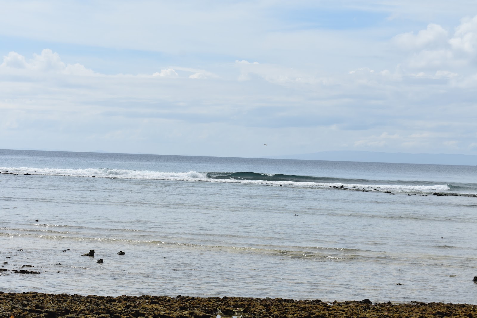 Secluded Islet Picnic Spots