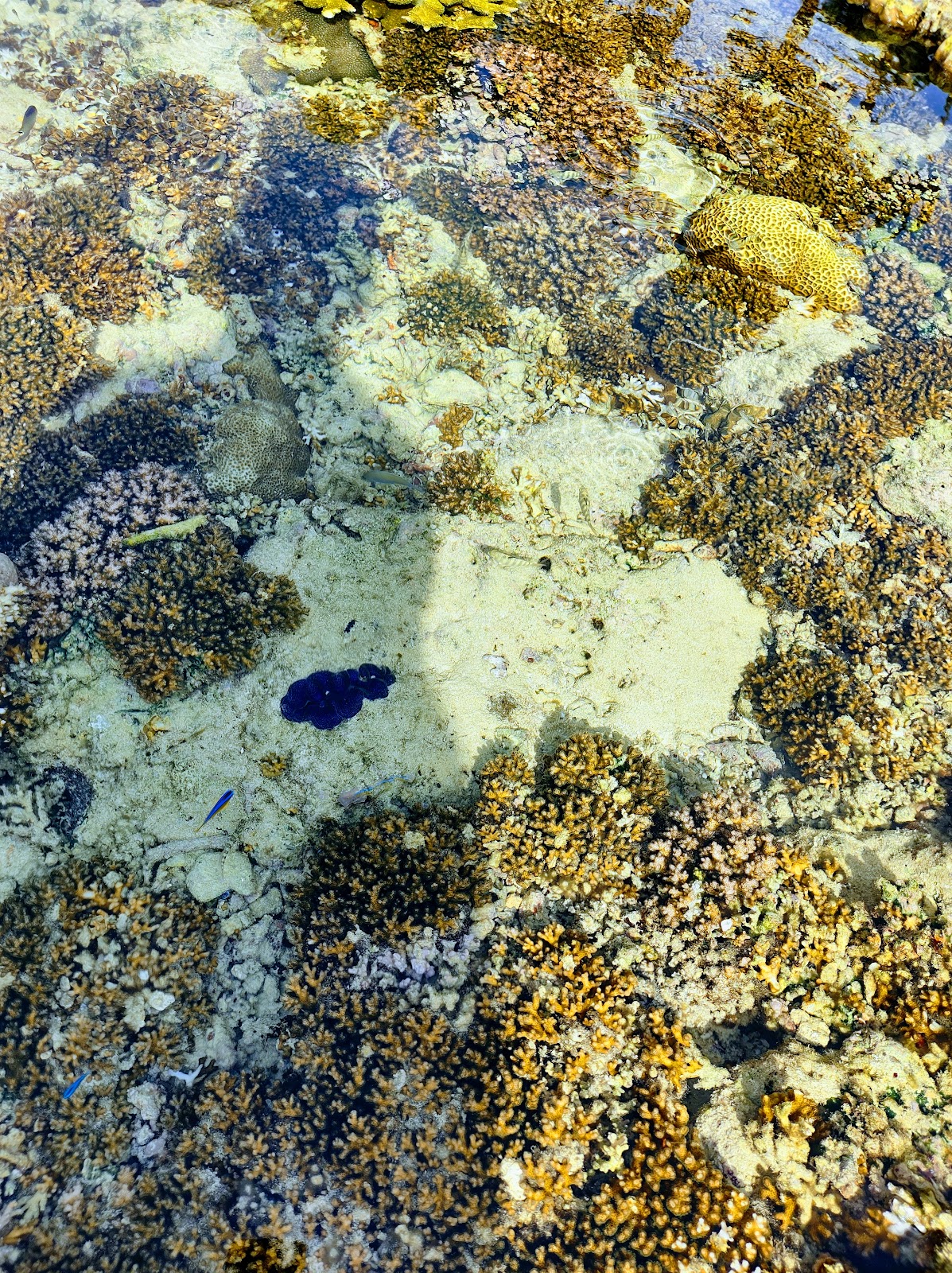 Secluded Islet Picnic Spots