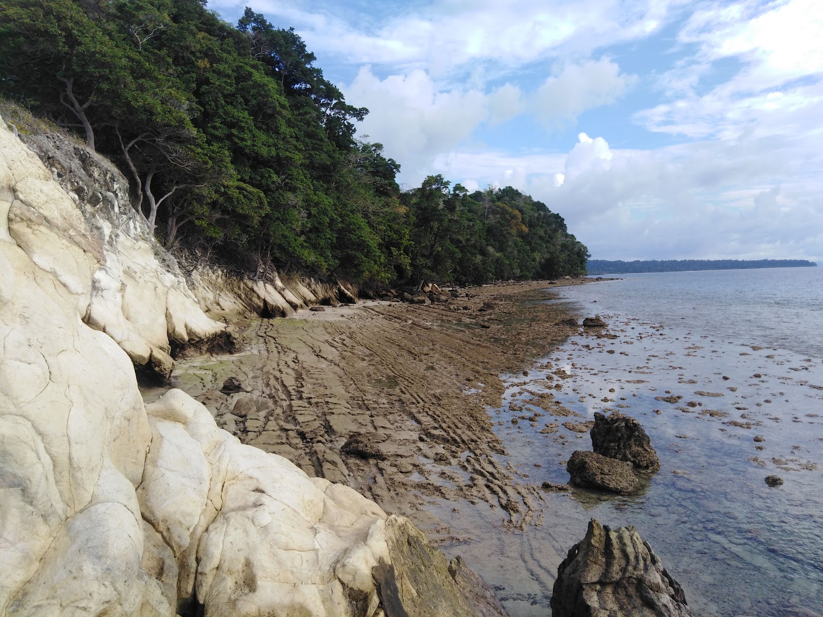 Swaraj Dweep Lighthouse Area