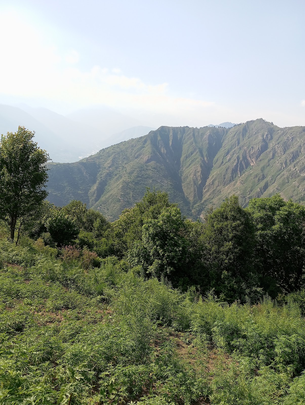 Sainj Valley