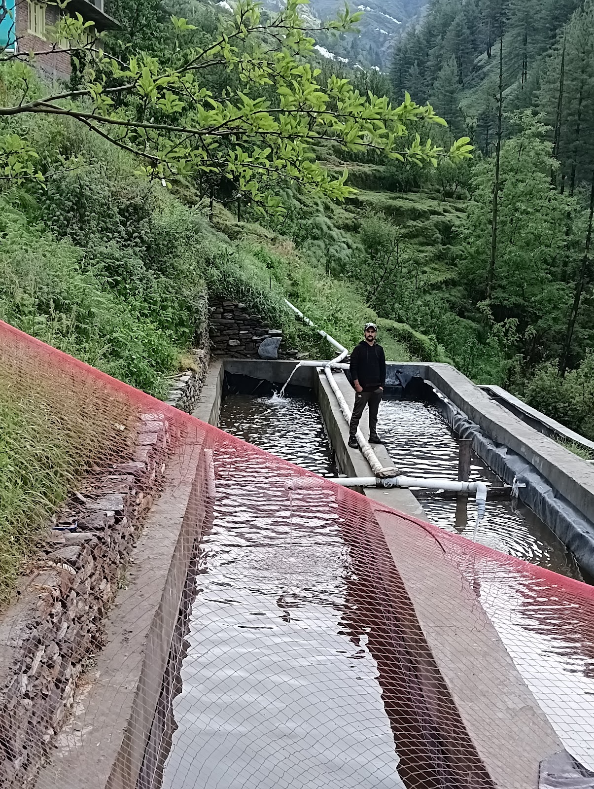 Trout Farms of Rohru