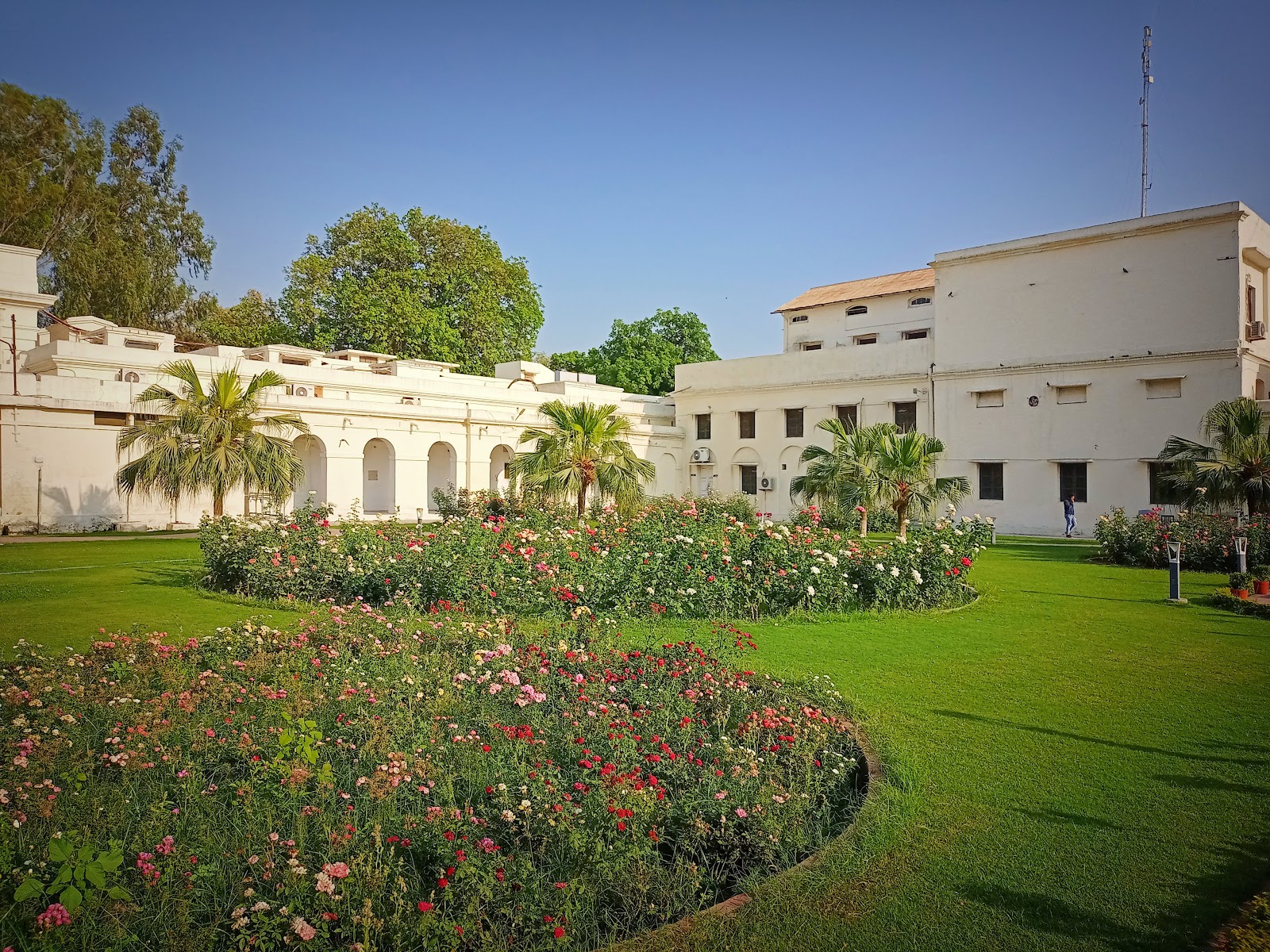 IIT Roorkee