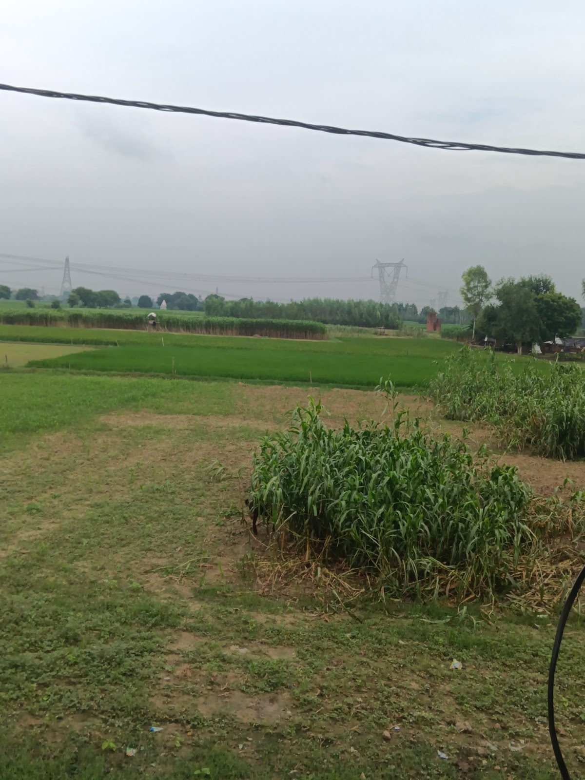 Piran Kaliyar Sharif Dargah