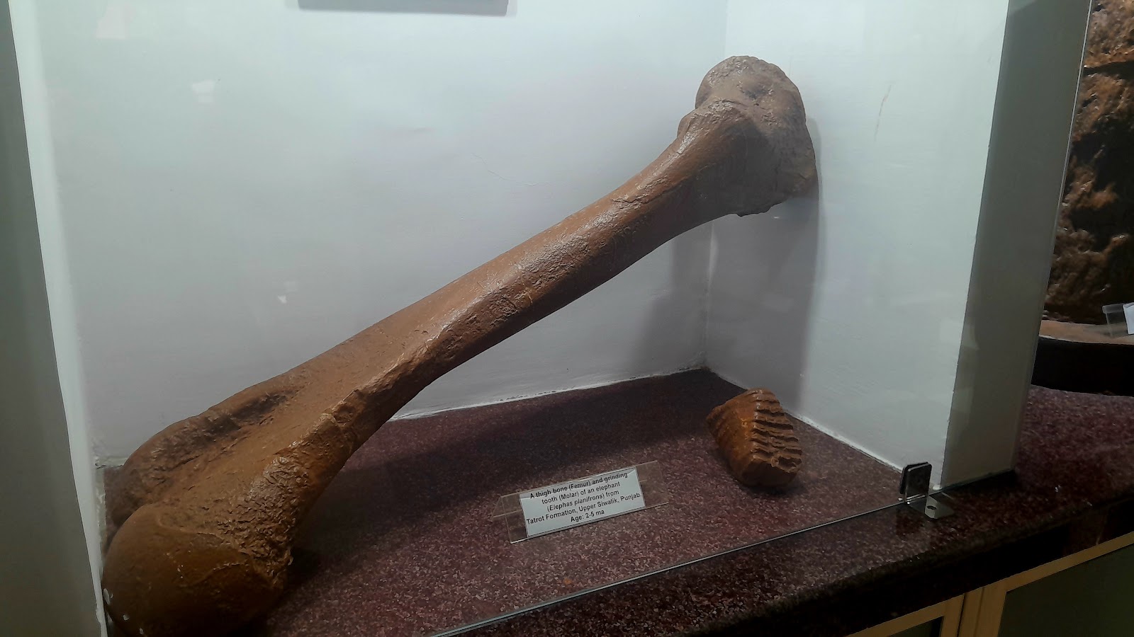 Roorkee Group Museum and Archives