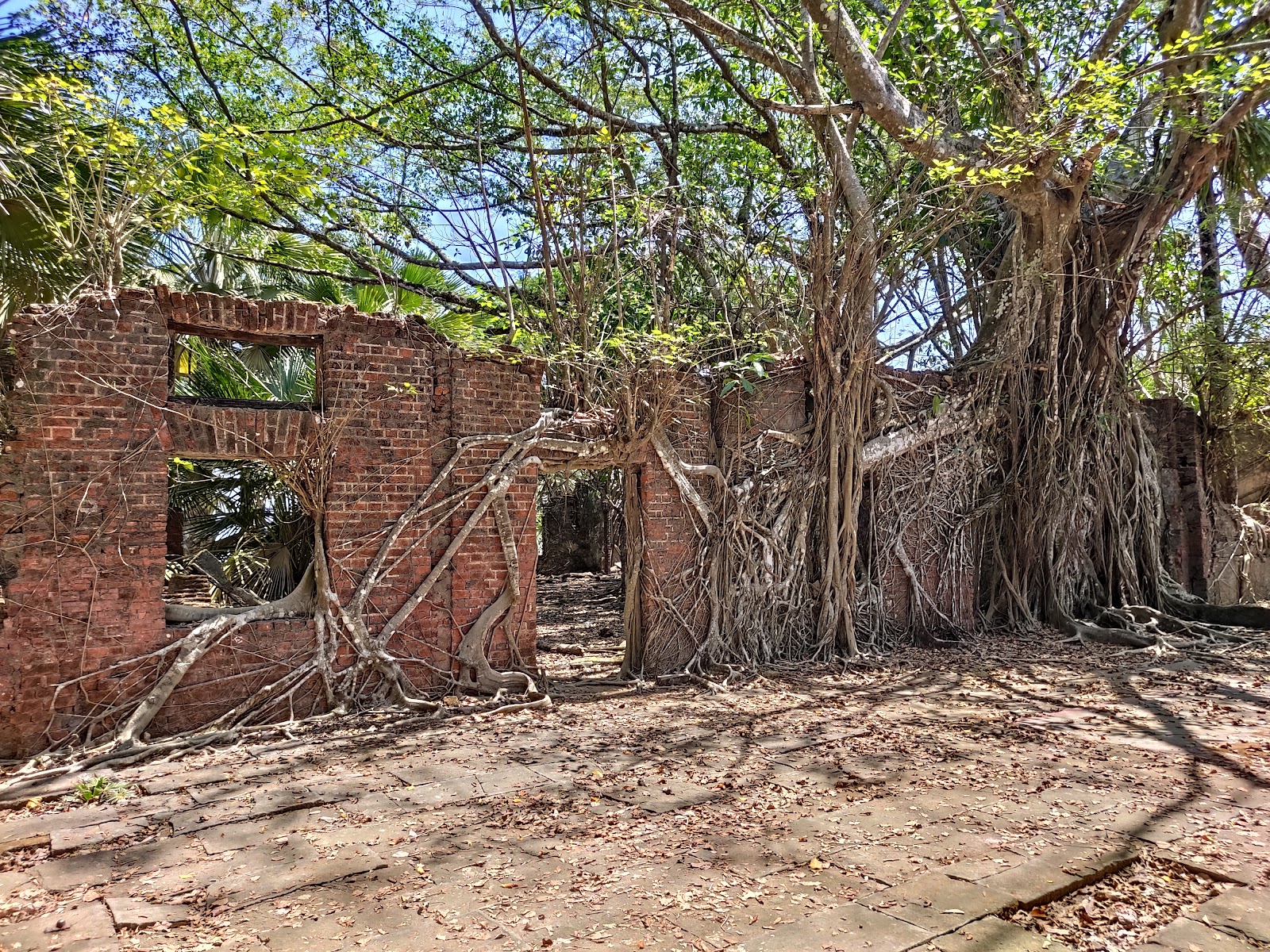 Netaji Subhash Chandra Bose Island Ross Island