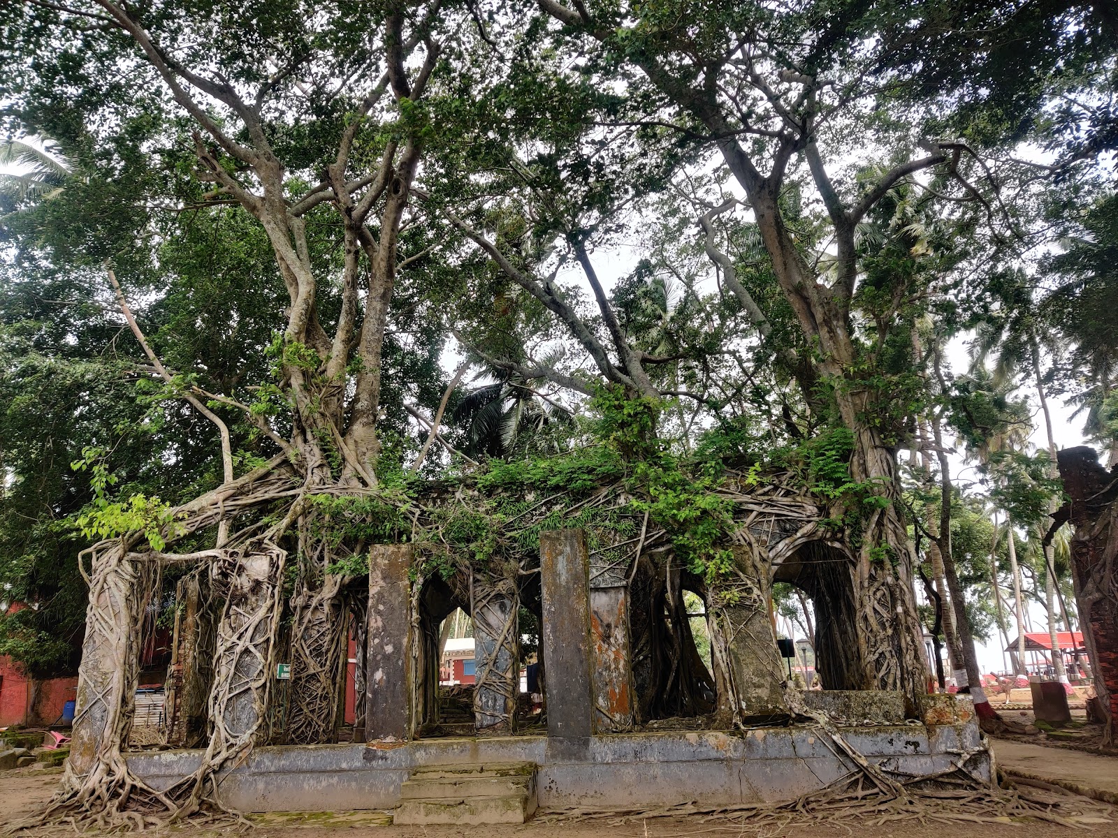 Netaji Subhash Chandra Bose Island Ross Island