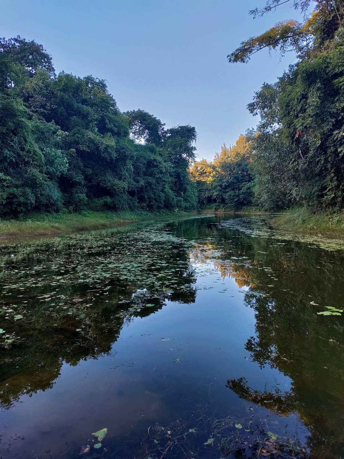 Rowa Wildlife Observation Point