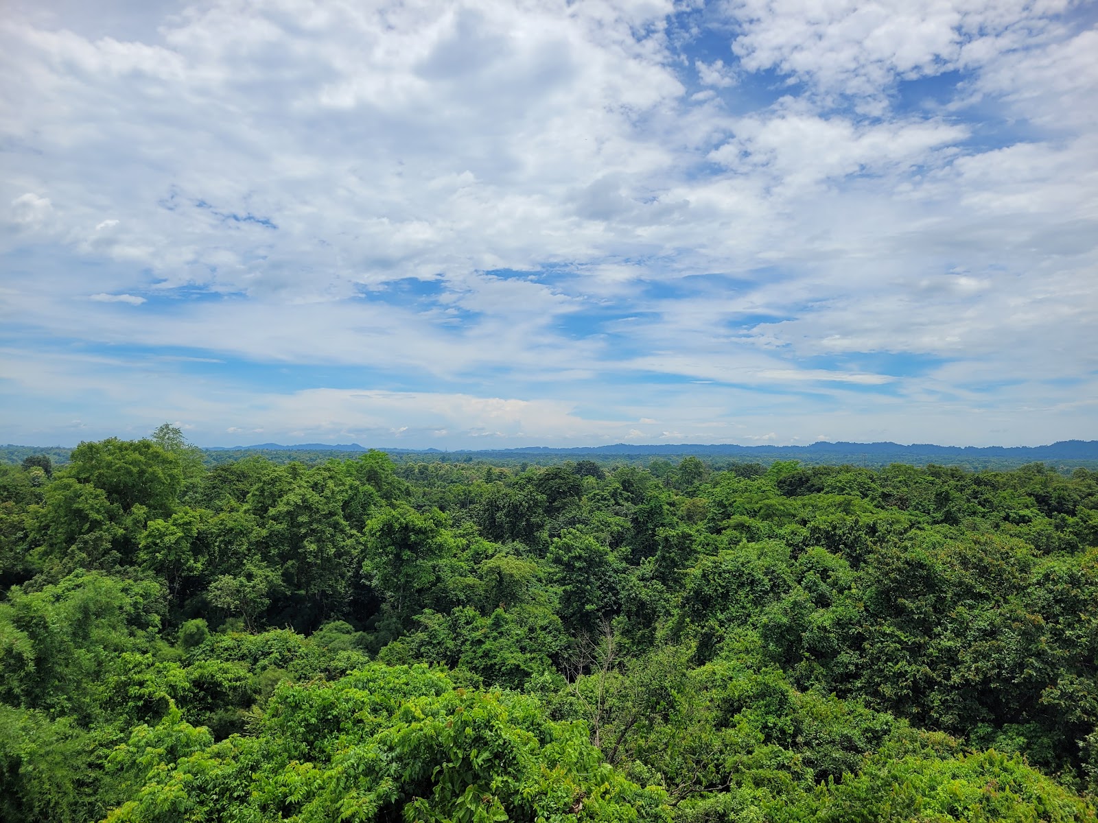 Rowa Wildlife Observation Point
