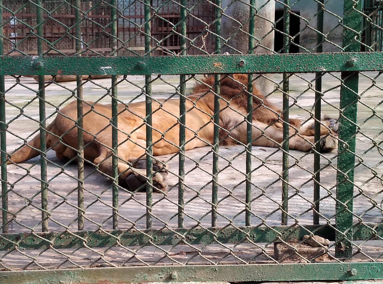 Sepahijala Wildlife Sanctuary