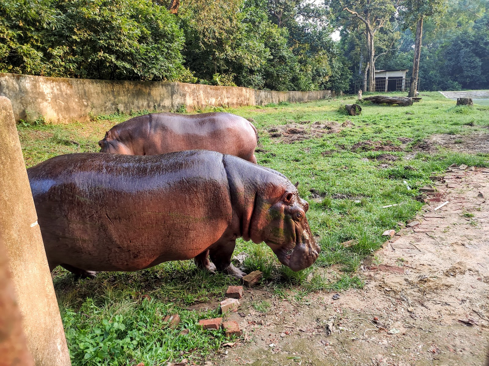 Sepahijala Wildlife Sanctuary