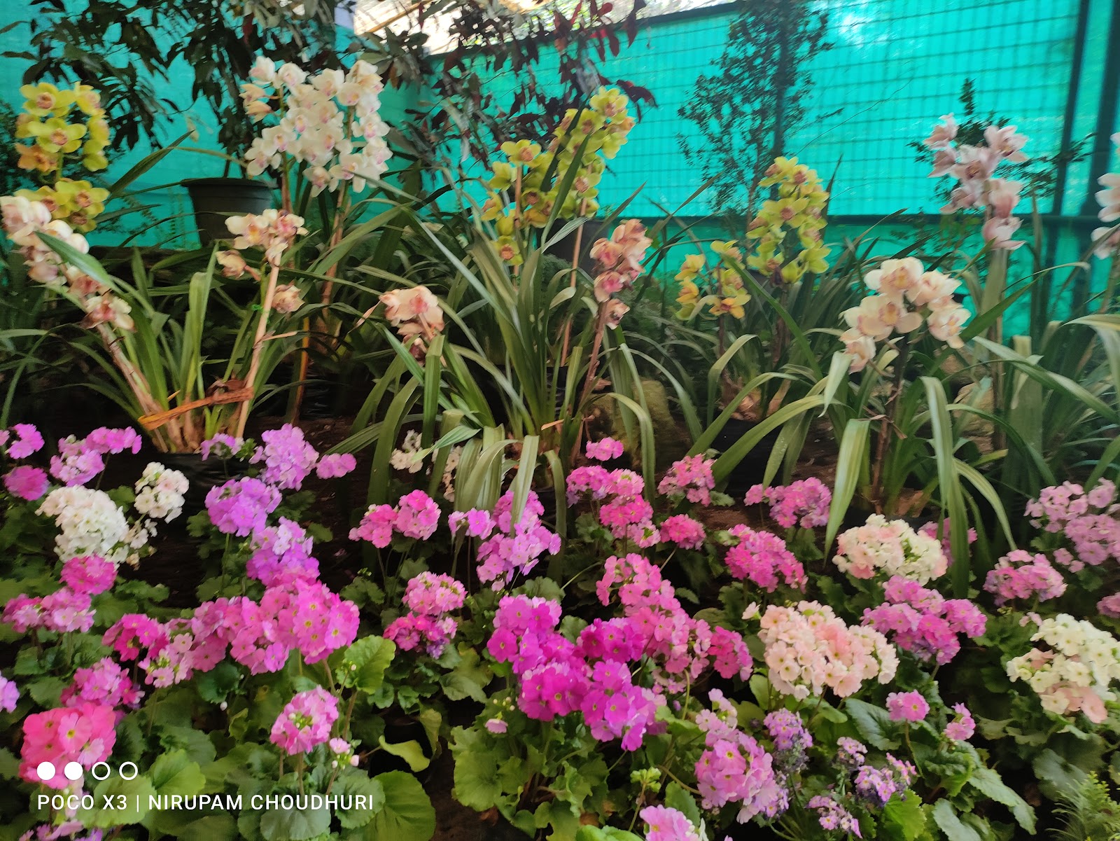 Flower Exhibition Centre