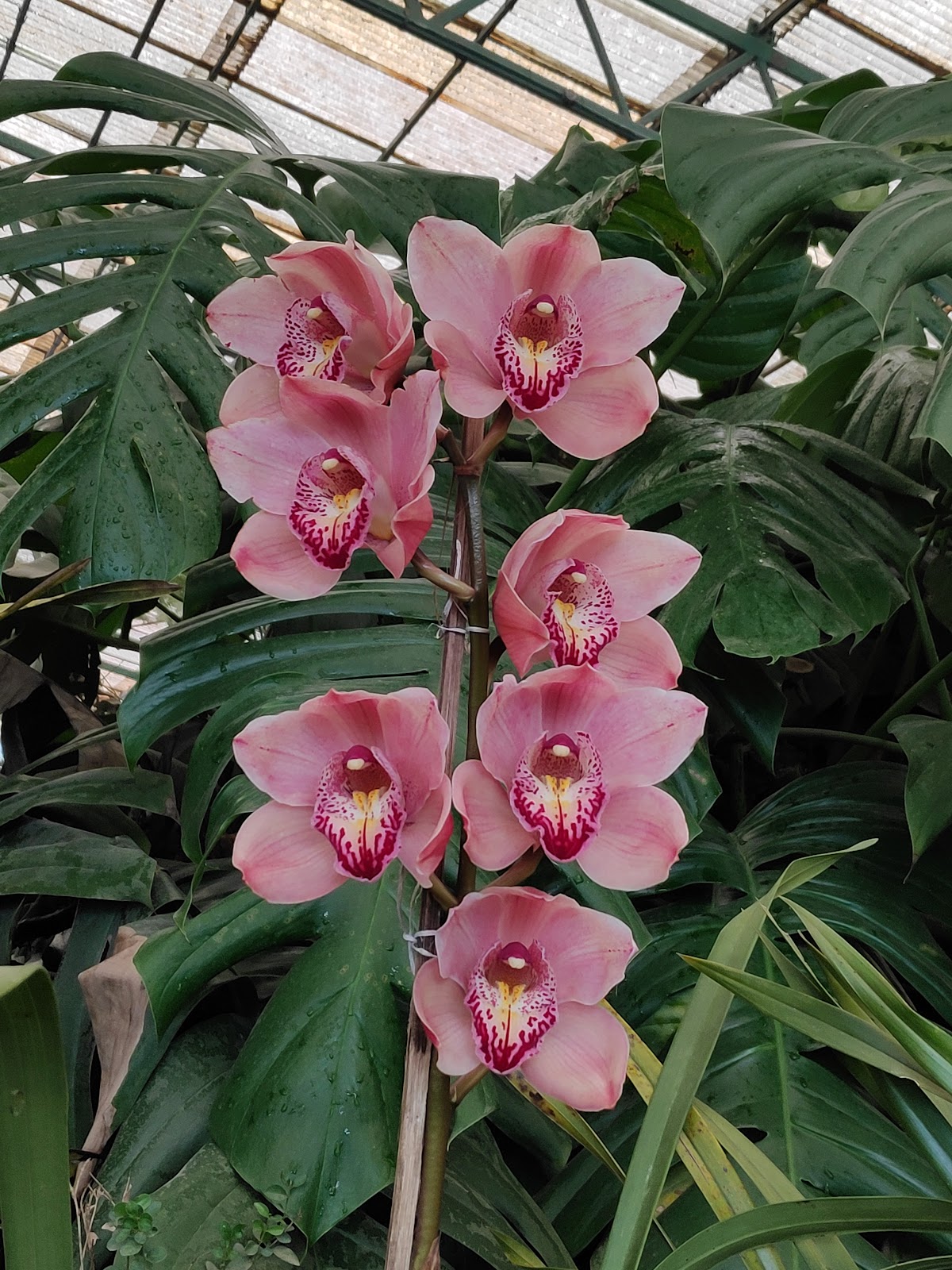 Flower Exhibition Centre