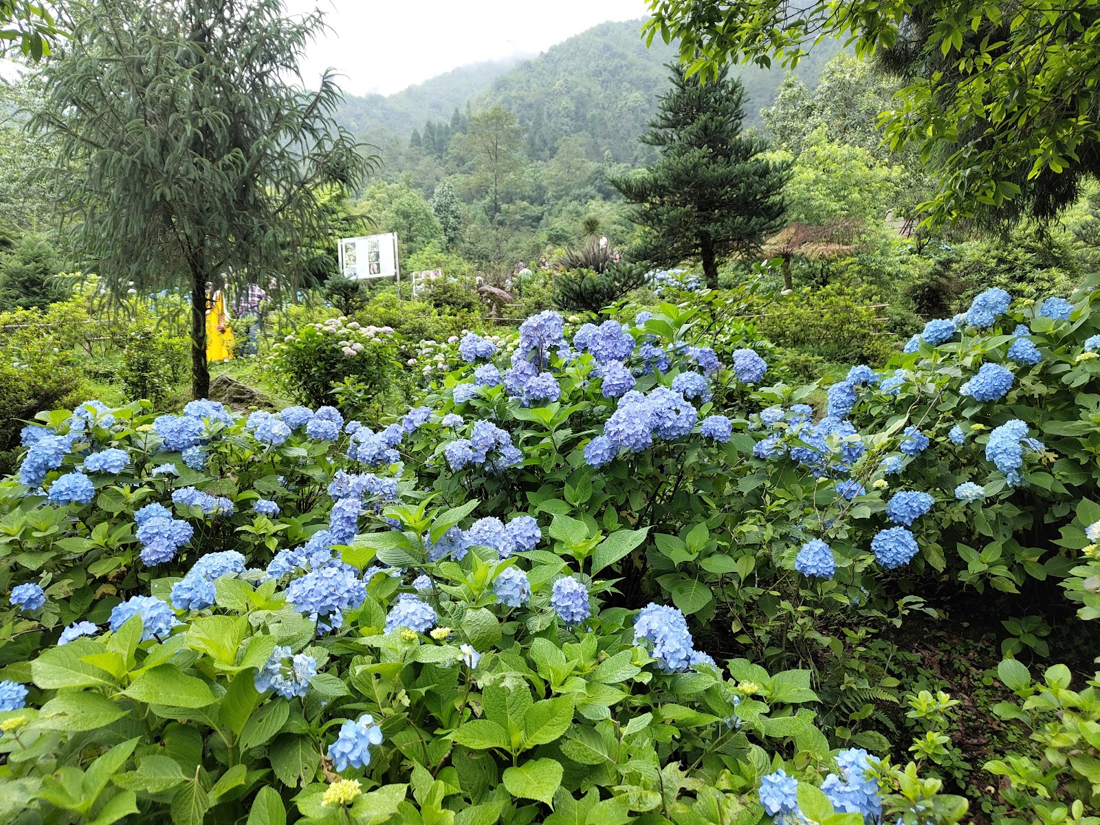 Flower Exhibition Centre