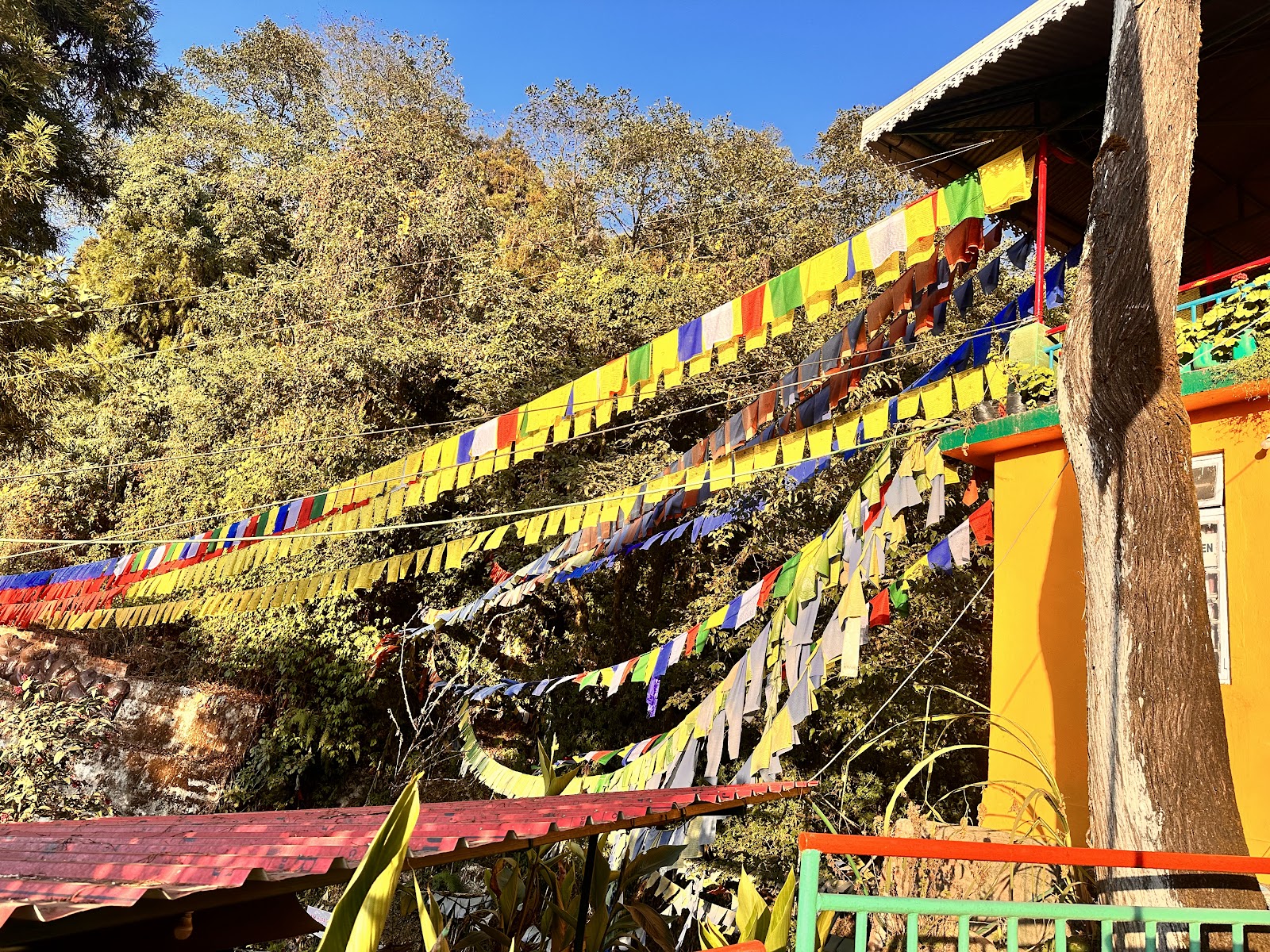 Ganesh Tok