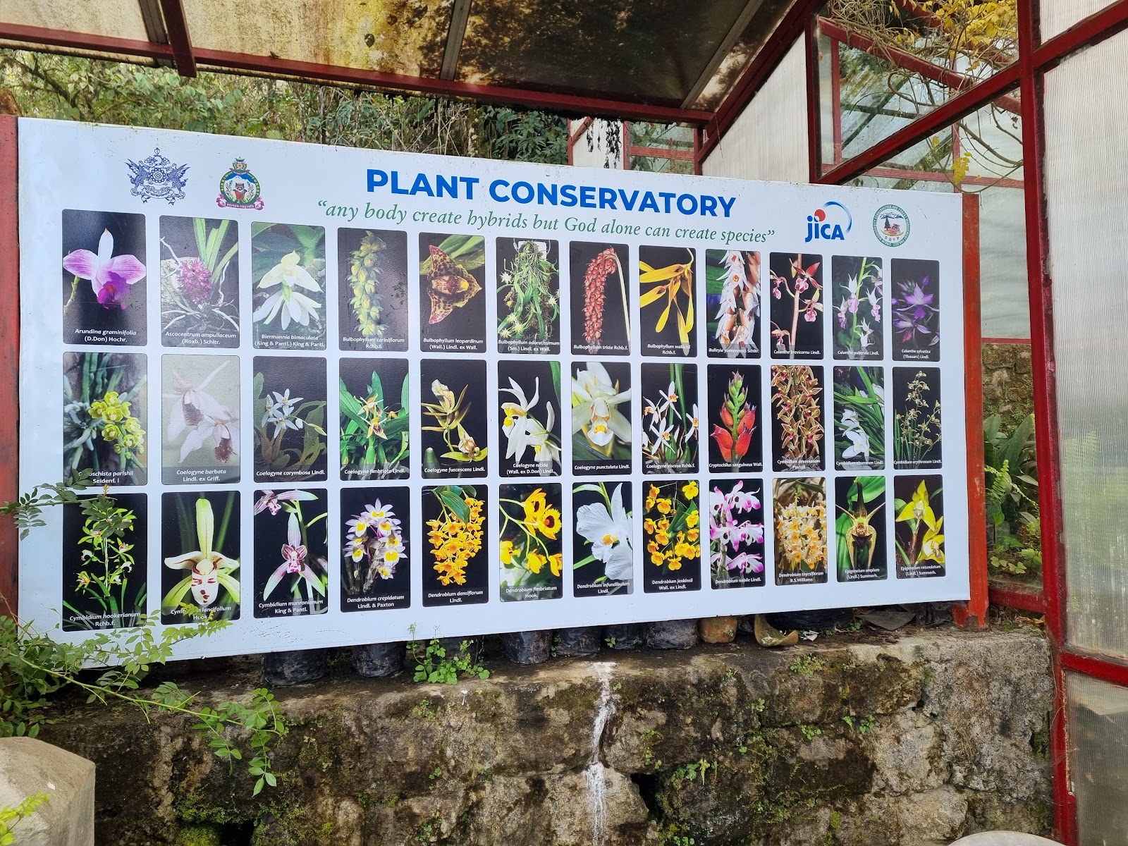 Sikkim Himalayan Zoological Park