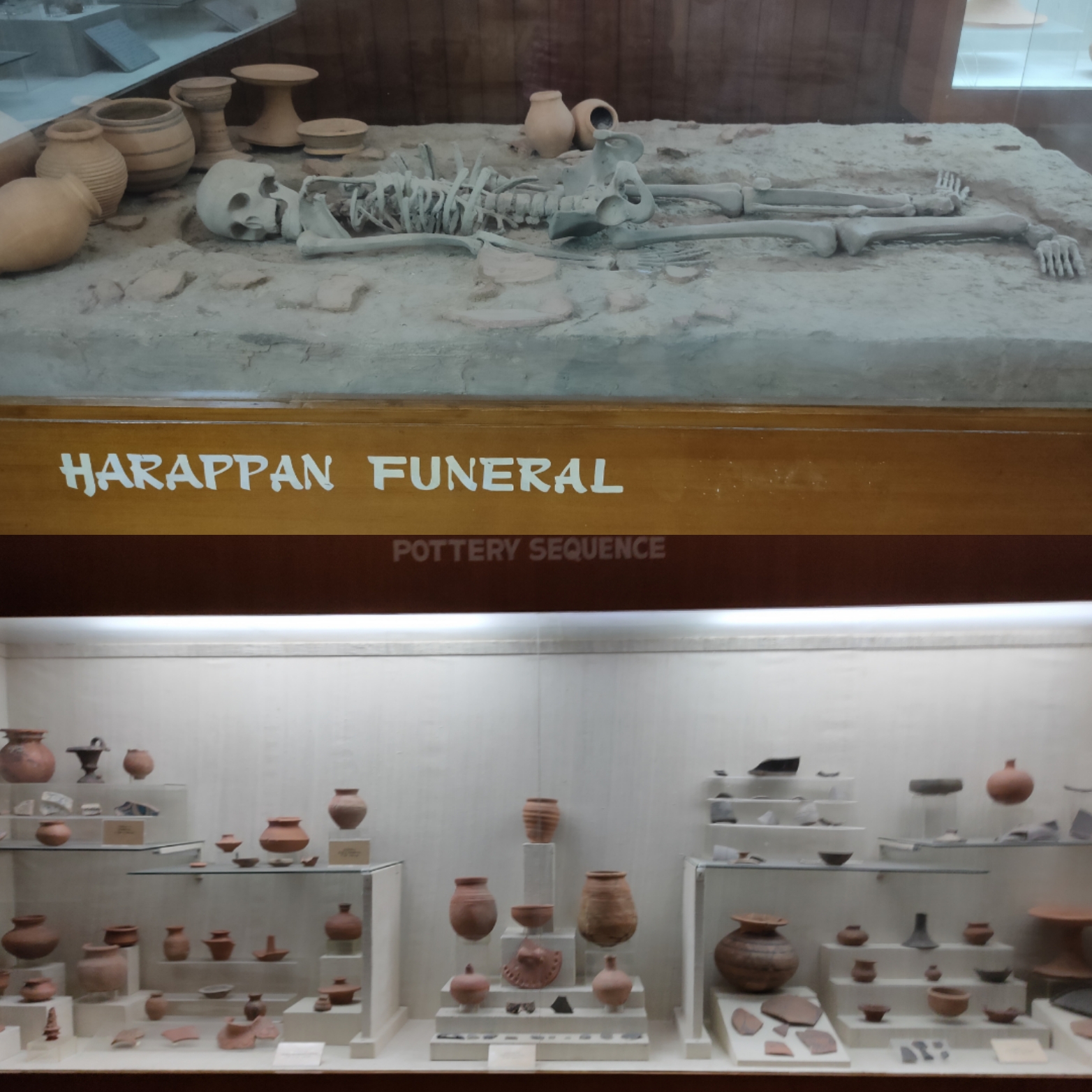 Ropar Archaeological Museum