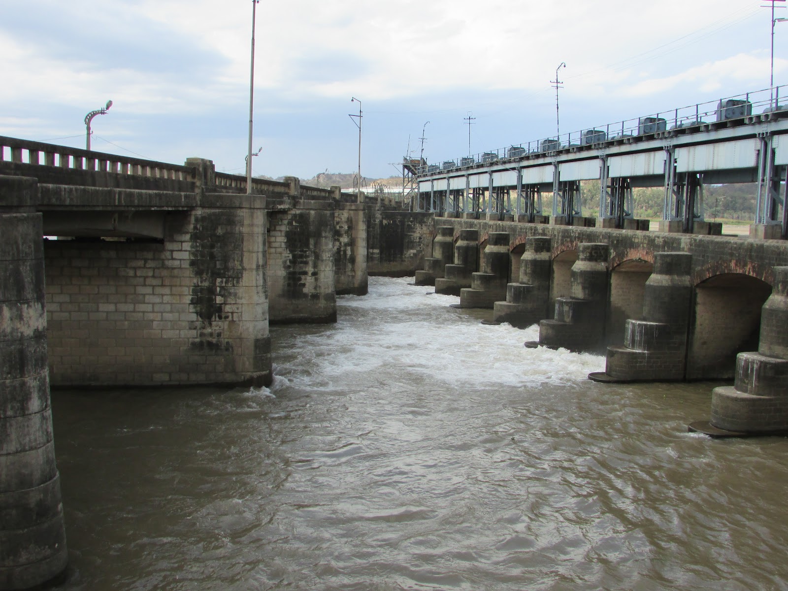 Rupnagar Wetland and Bird Sanctuary