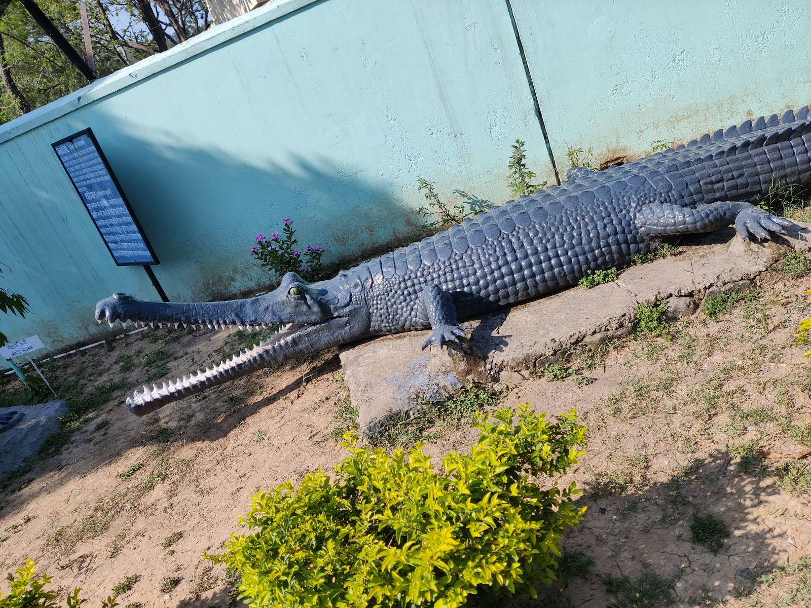 Shivalik Fossil Park Area