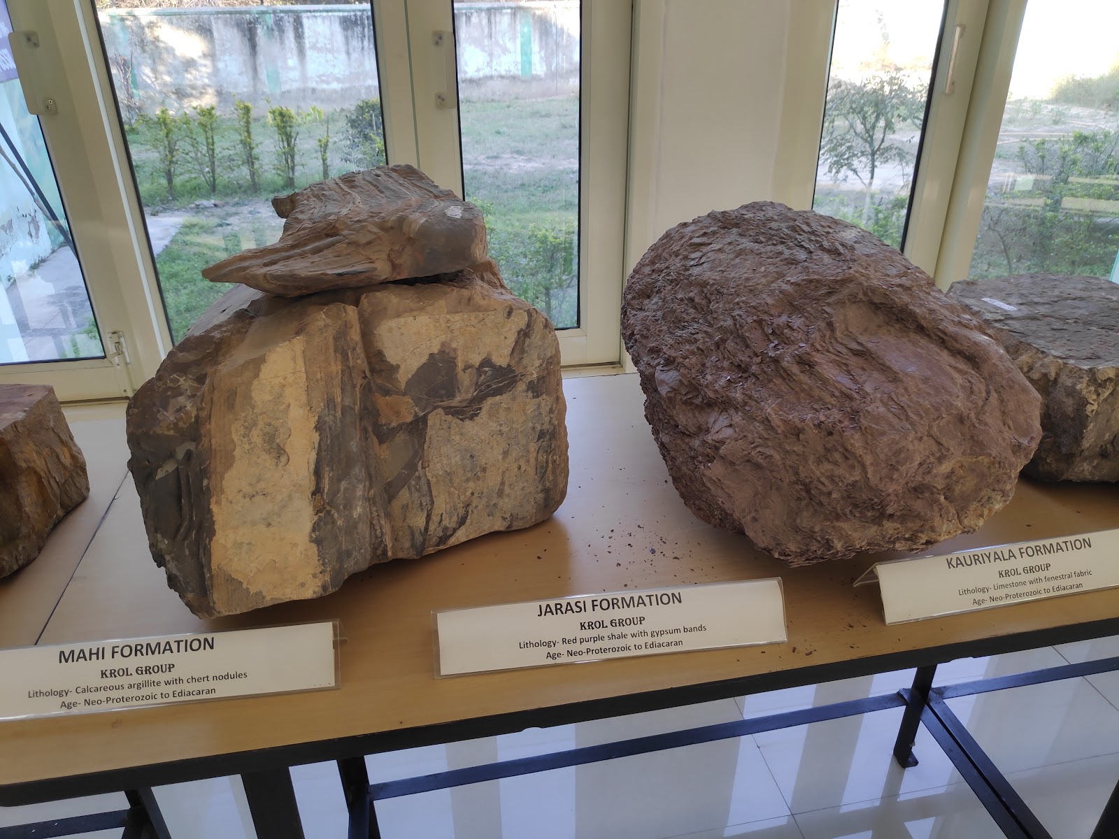 Shivalik Fossil Park Area