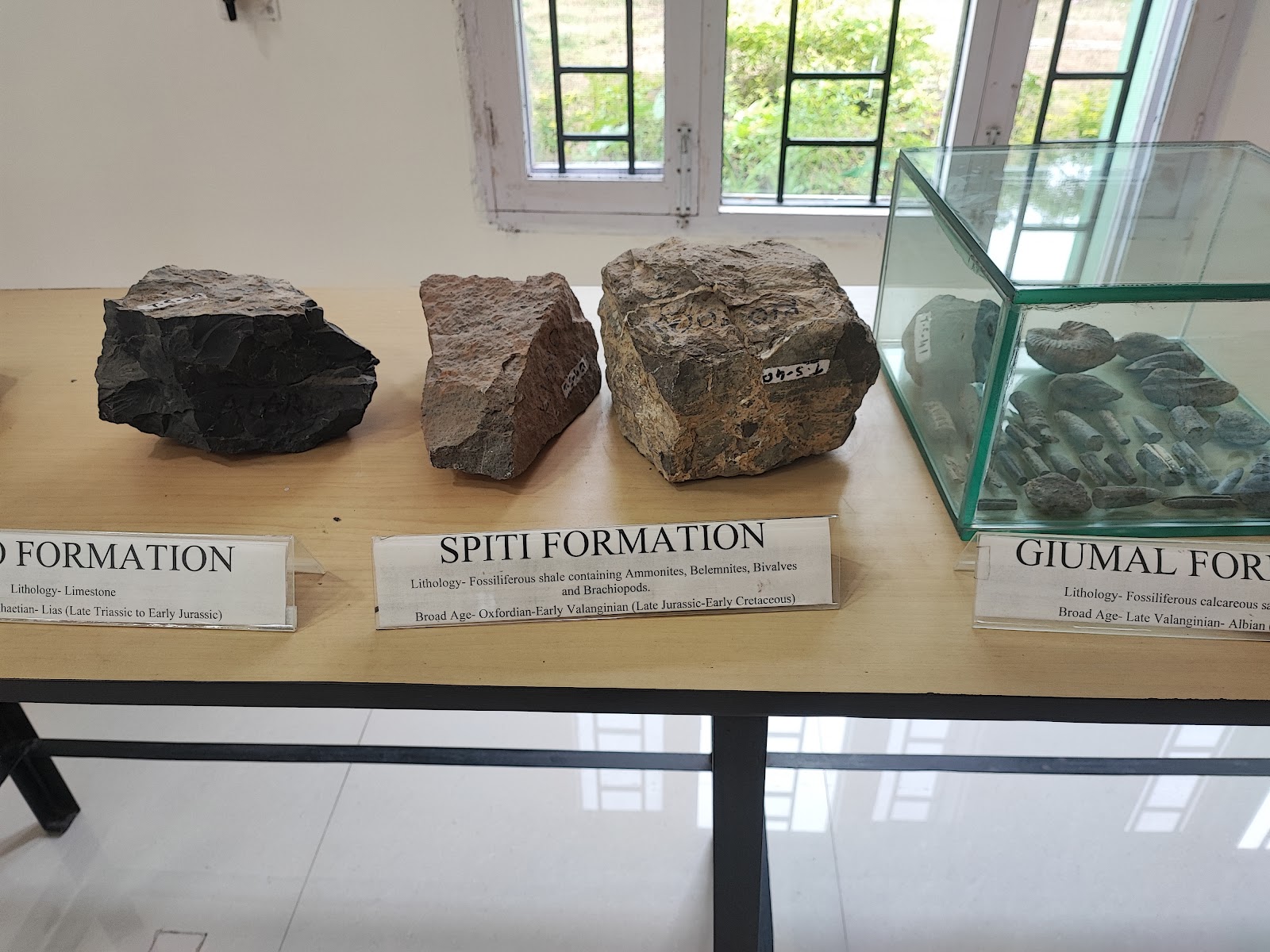 Shivalik Fossil Park Area