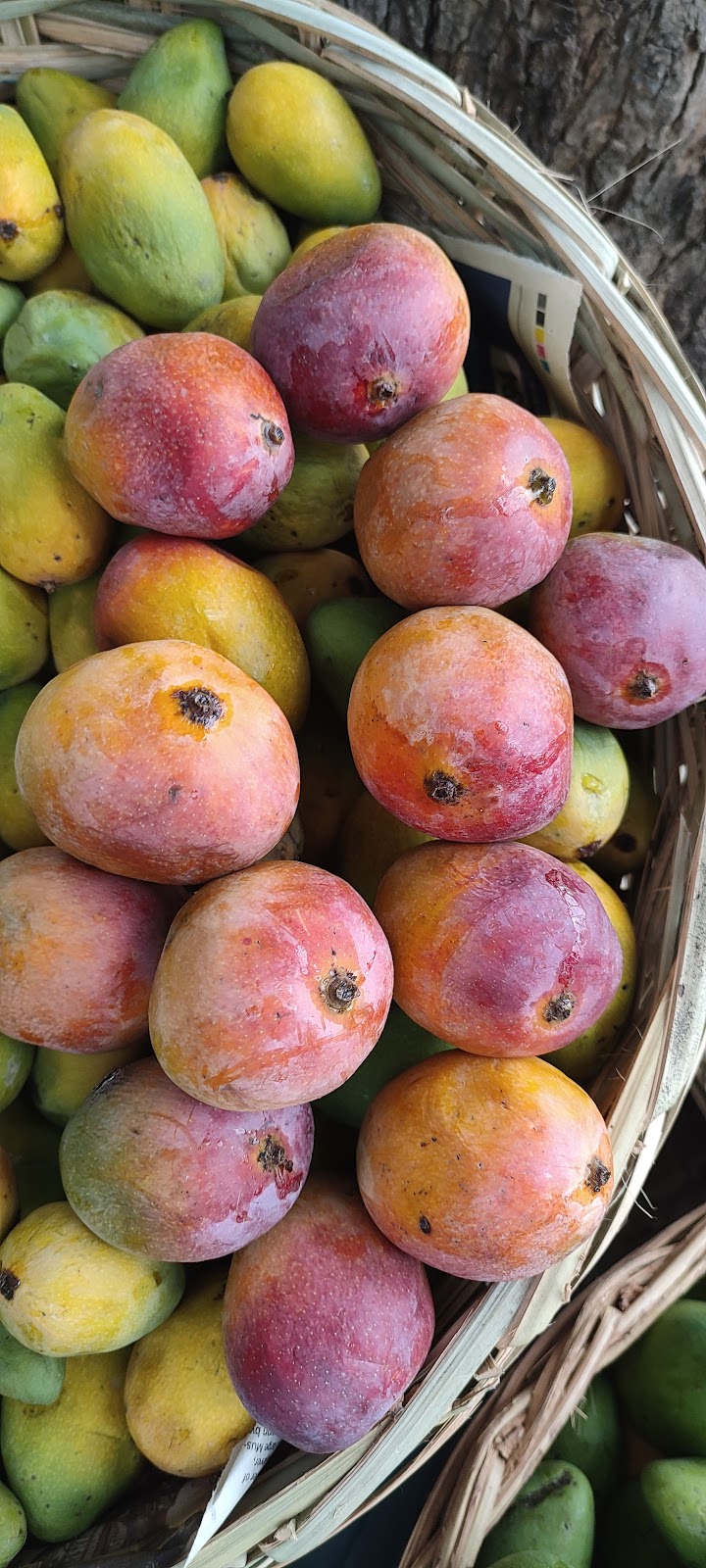 Local Handicraft Market