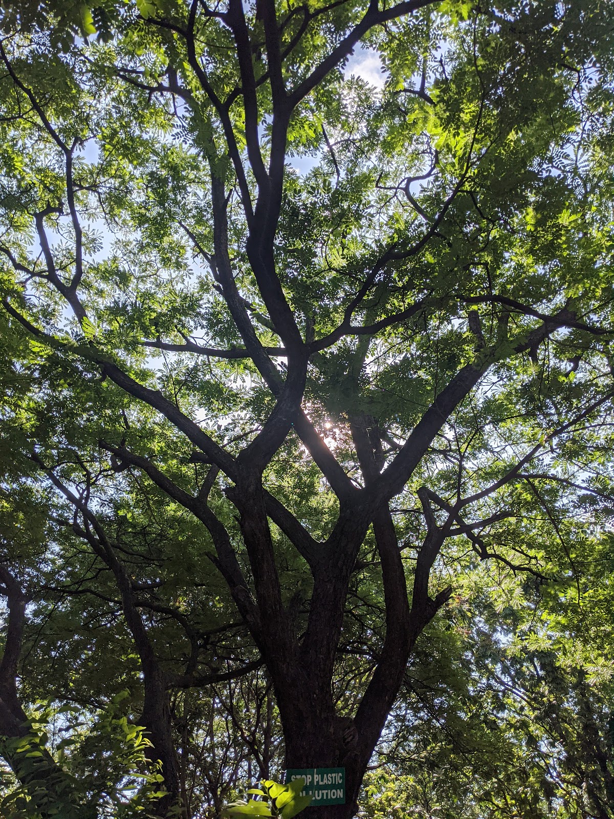 Pocharam Wildlife Sanctuary