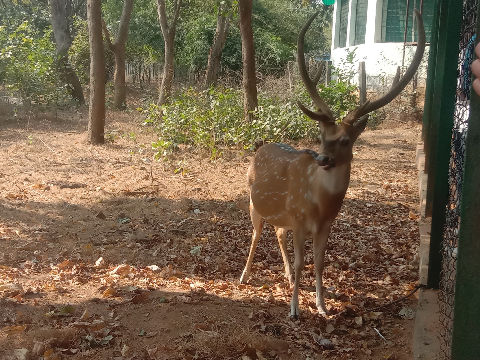 Pocharam Wildlife Sanctuary