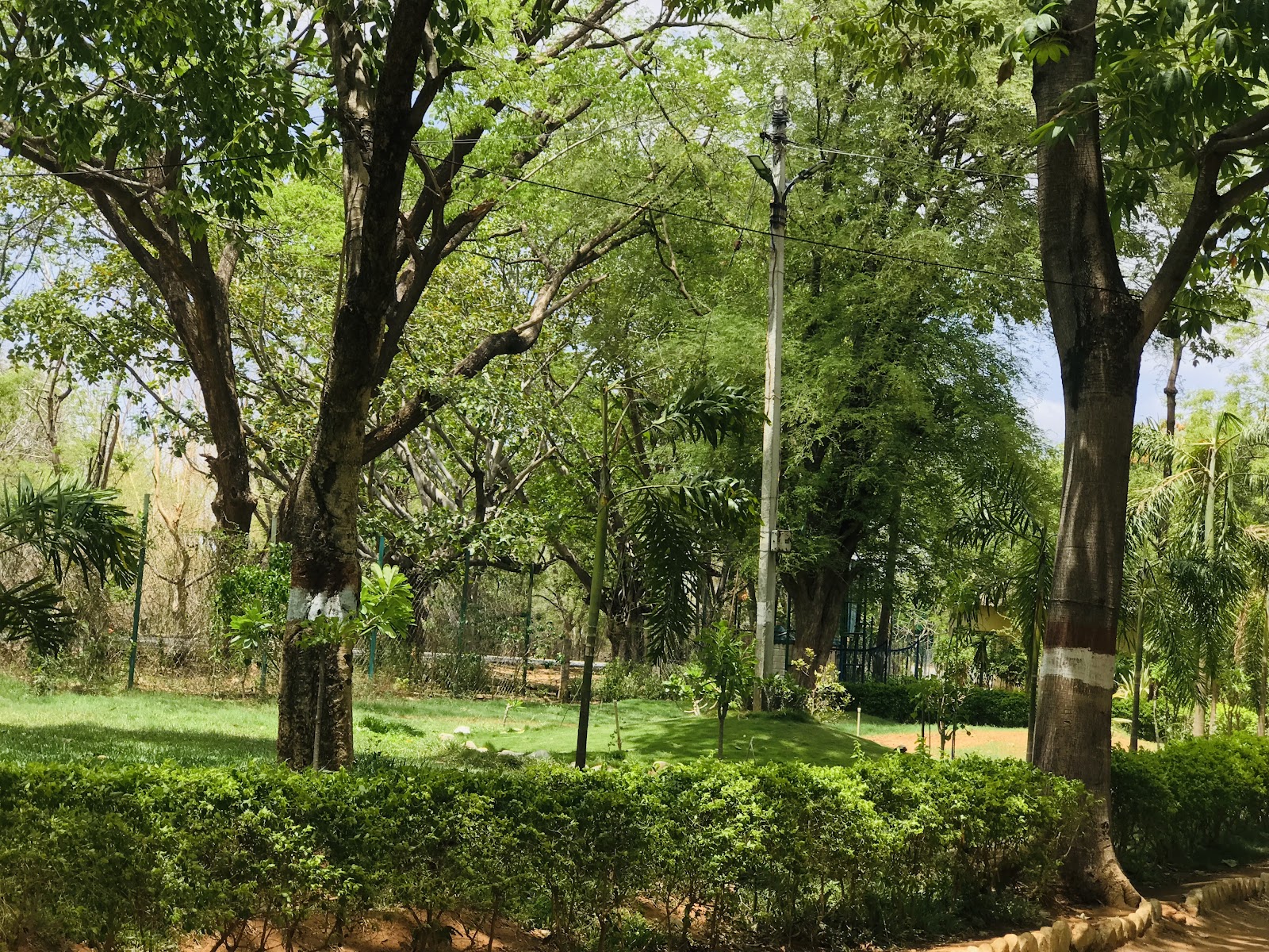 Pocharam Wildlife Sanctuary