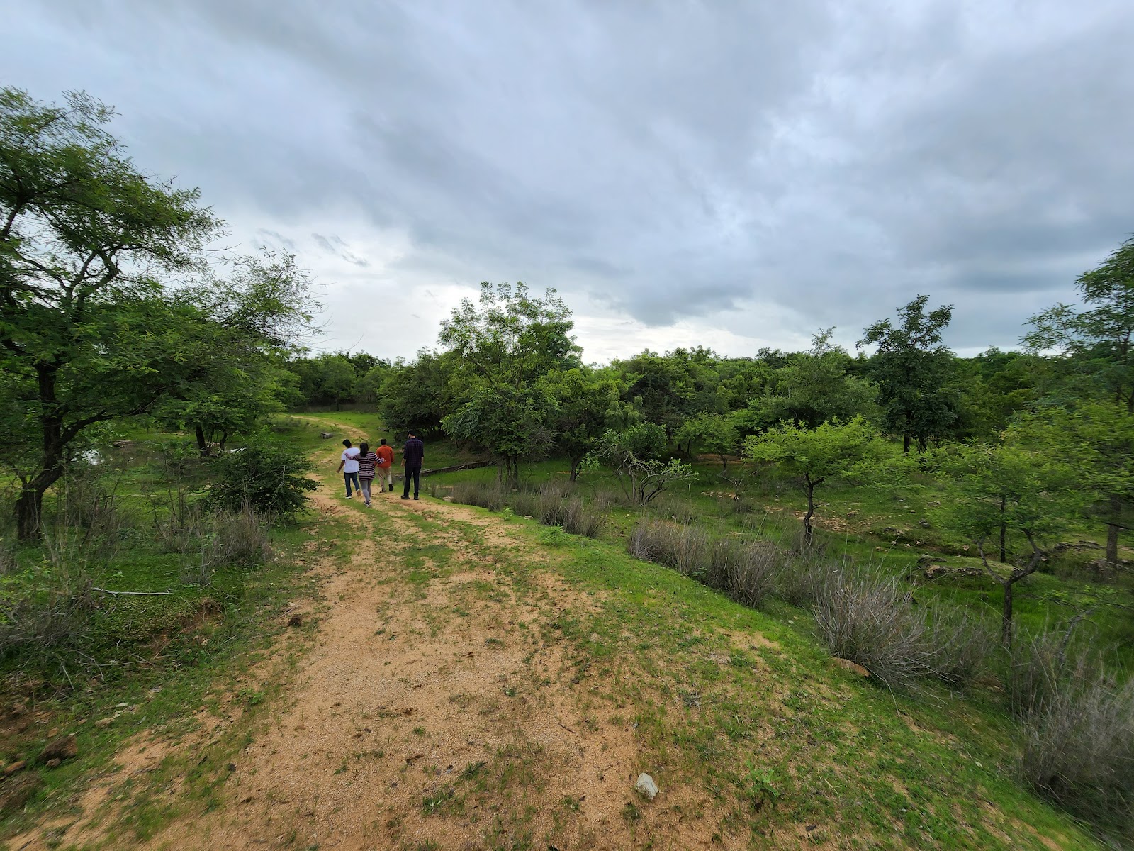 Pocharam Wildlife Sanctuary