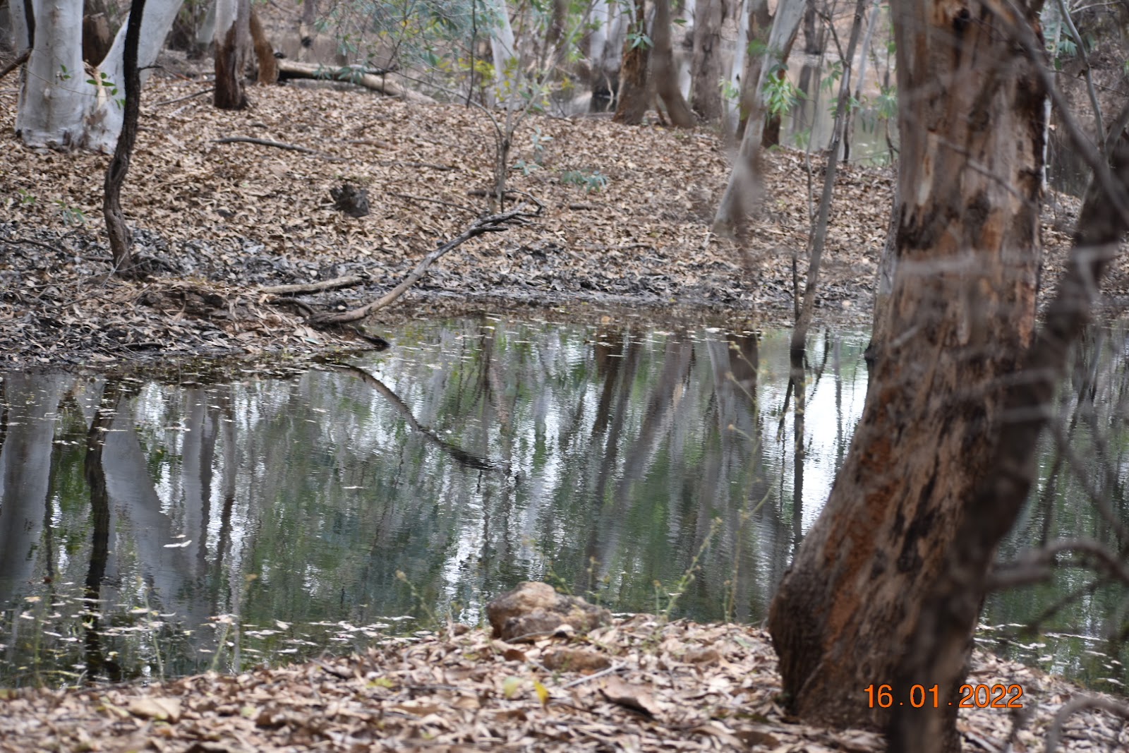 Pocharam Wildlife Sanctuary