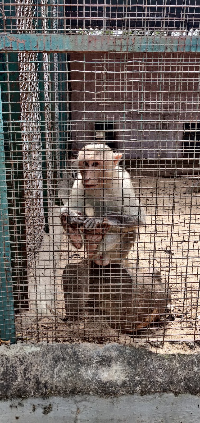 Arignar Anna Zoological Park