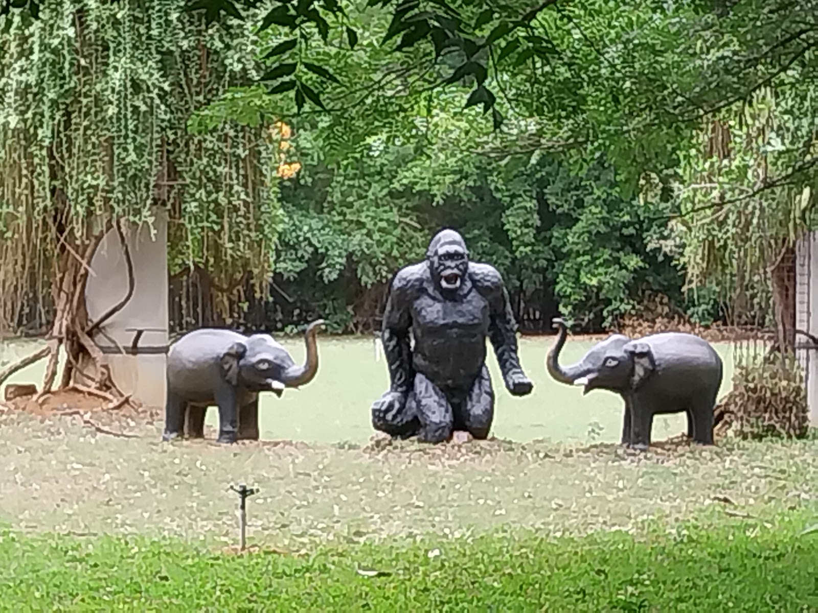 Arignar Anna Zoological Park