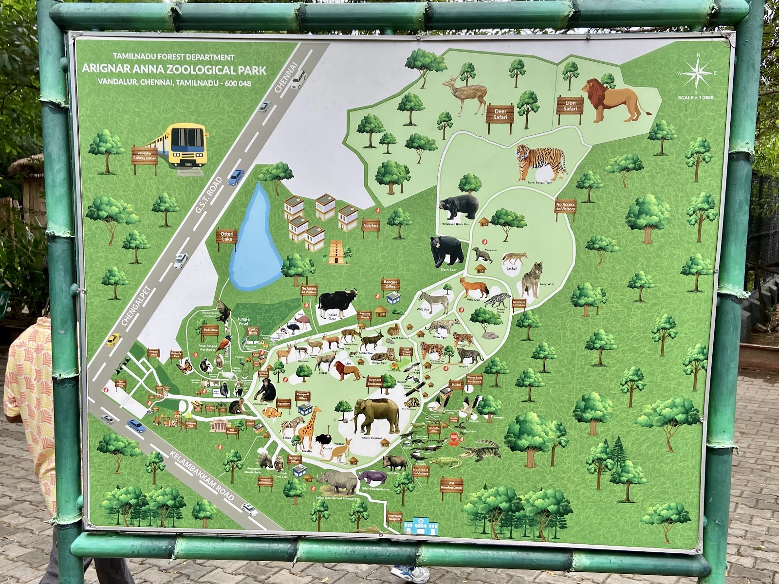 Arignar Anna Zoological Park