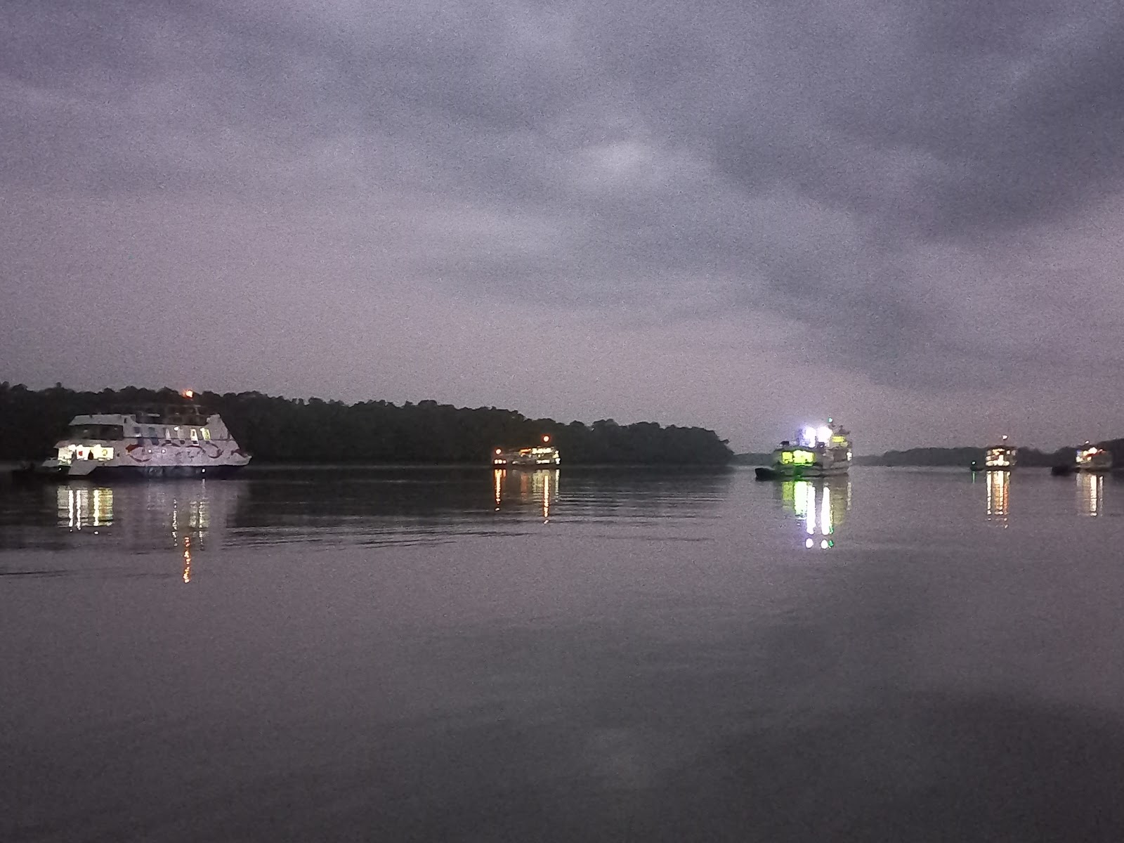 Sundarbans Mangrove Forest