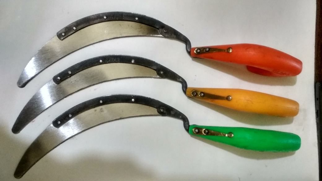 Local Agricultural Produce Yard