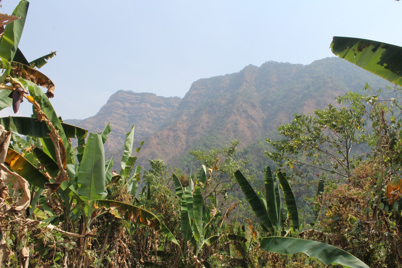 Phawngpui National Park