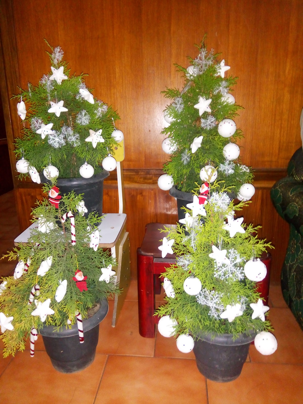 Evening Community Square