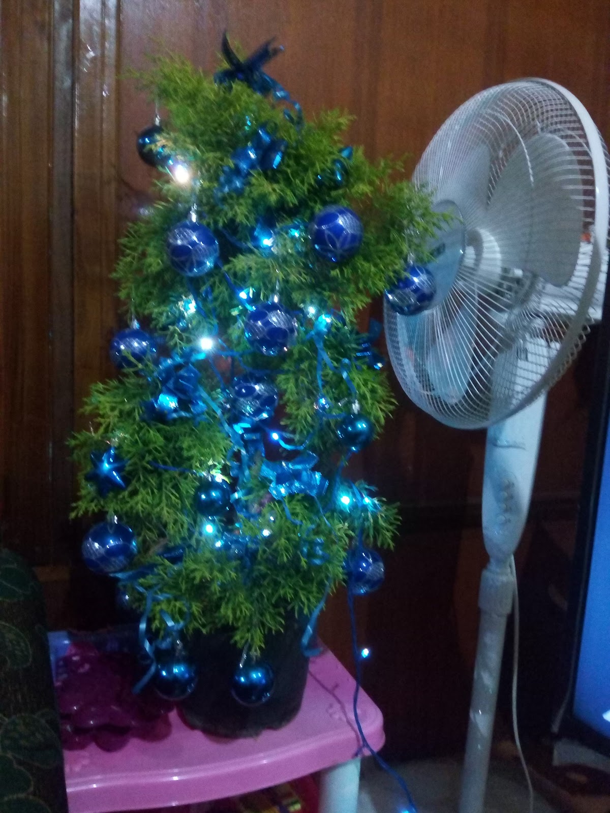 Evening Community Square