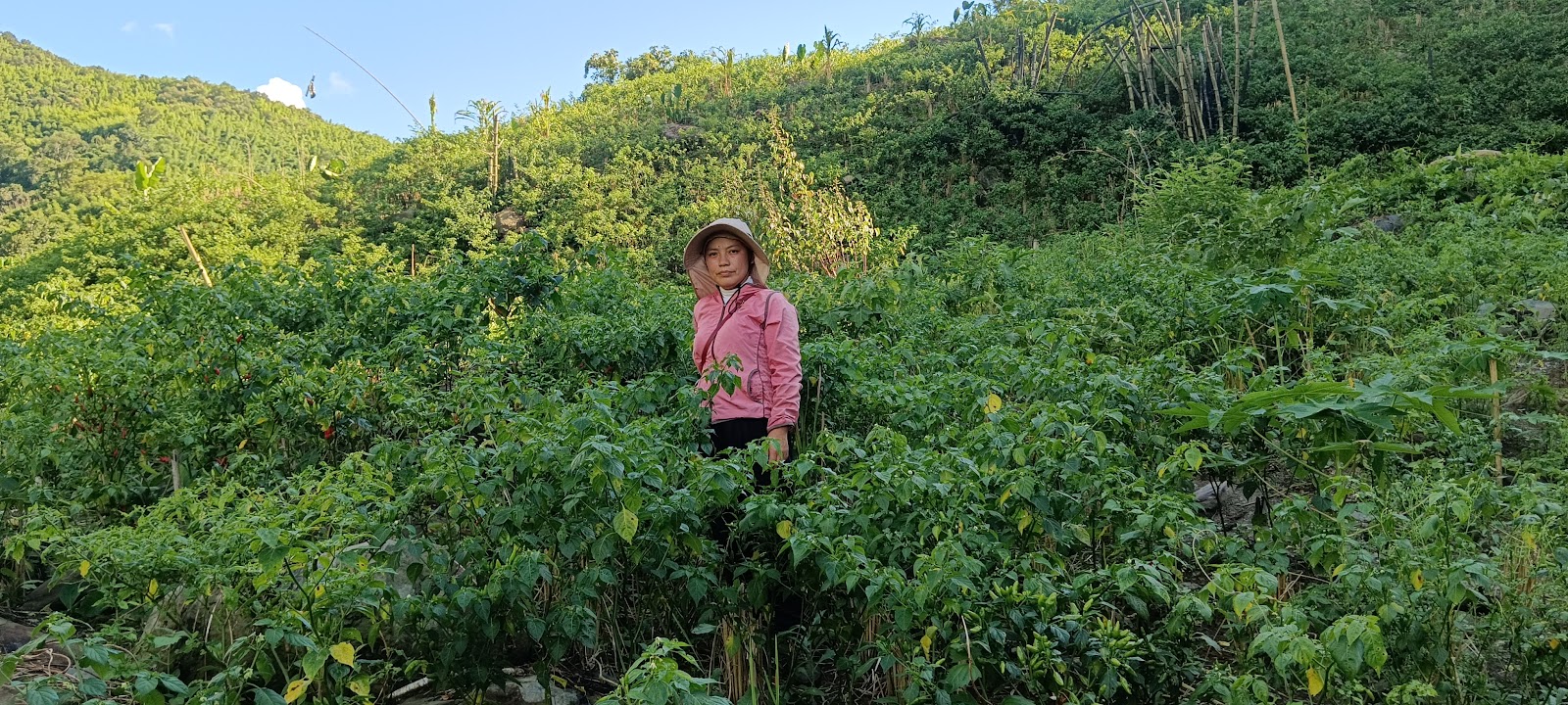 Sialhawk Community Park