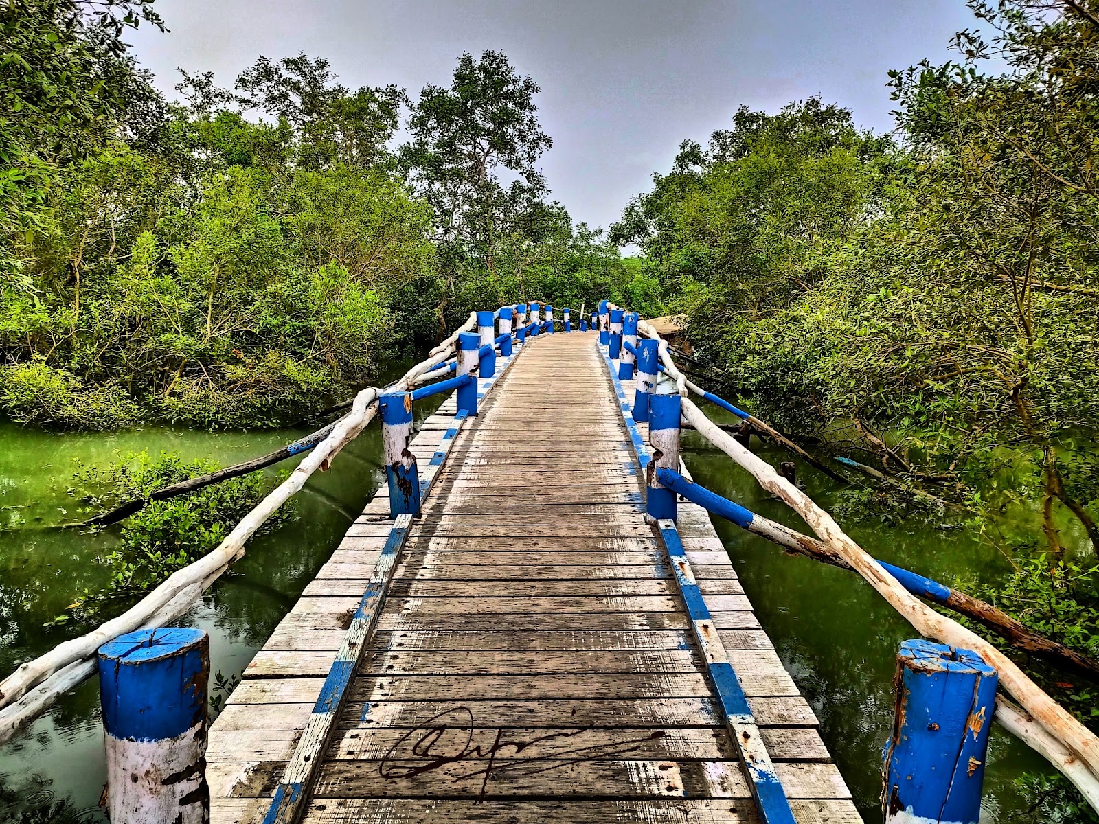 Bakkhali Beach