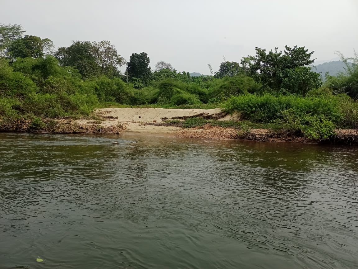 Kumaradhara River
