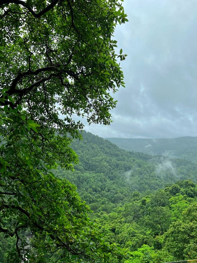 Bhagwan Mahavir Wildlife Sanctuary