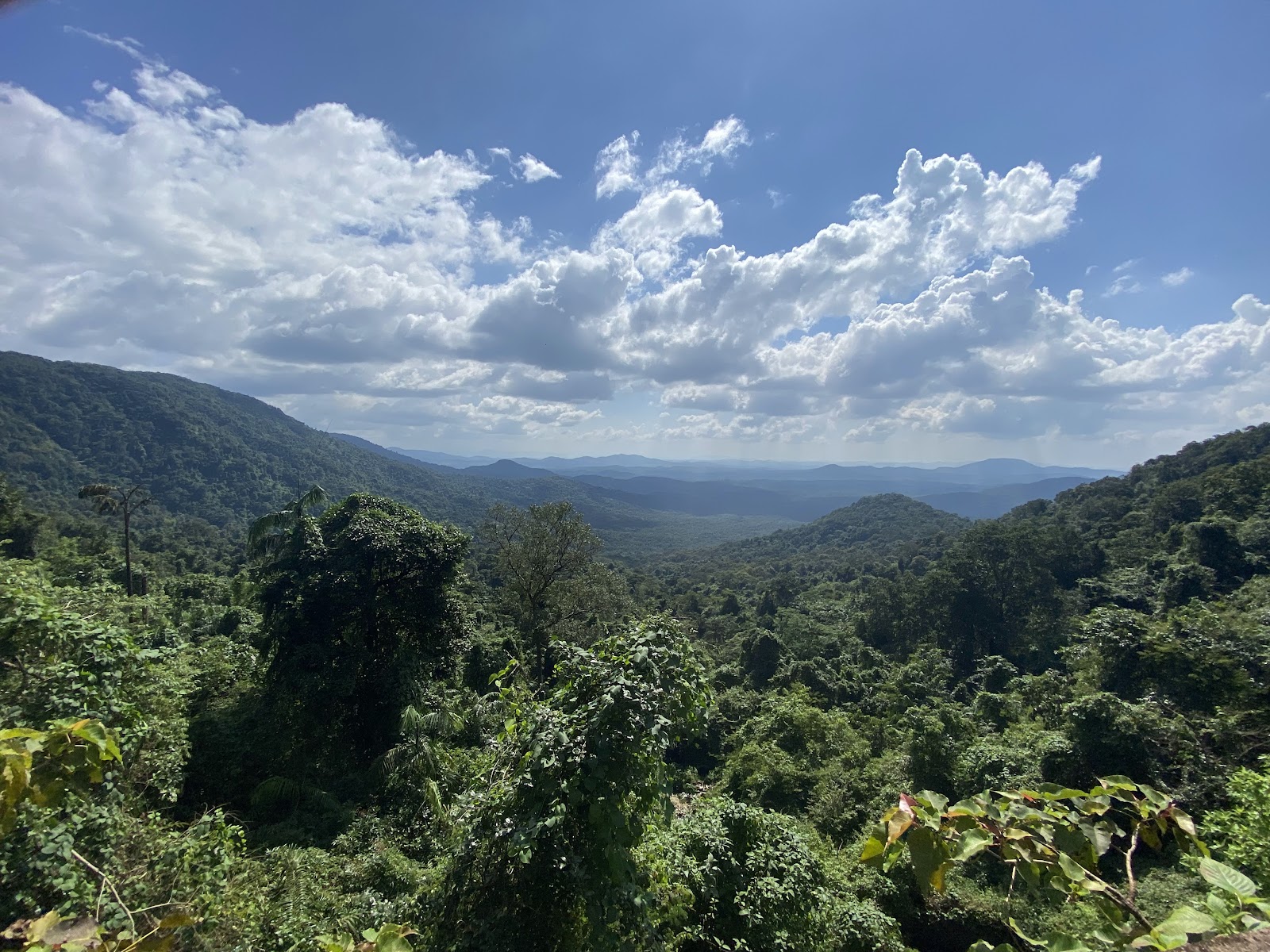 Bhagwan Mahavir Wildlife Sanctuary