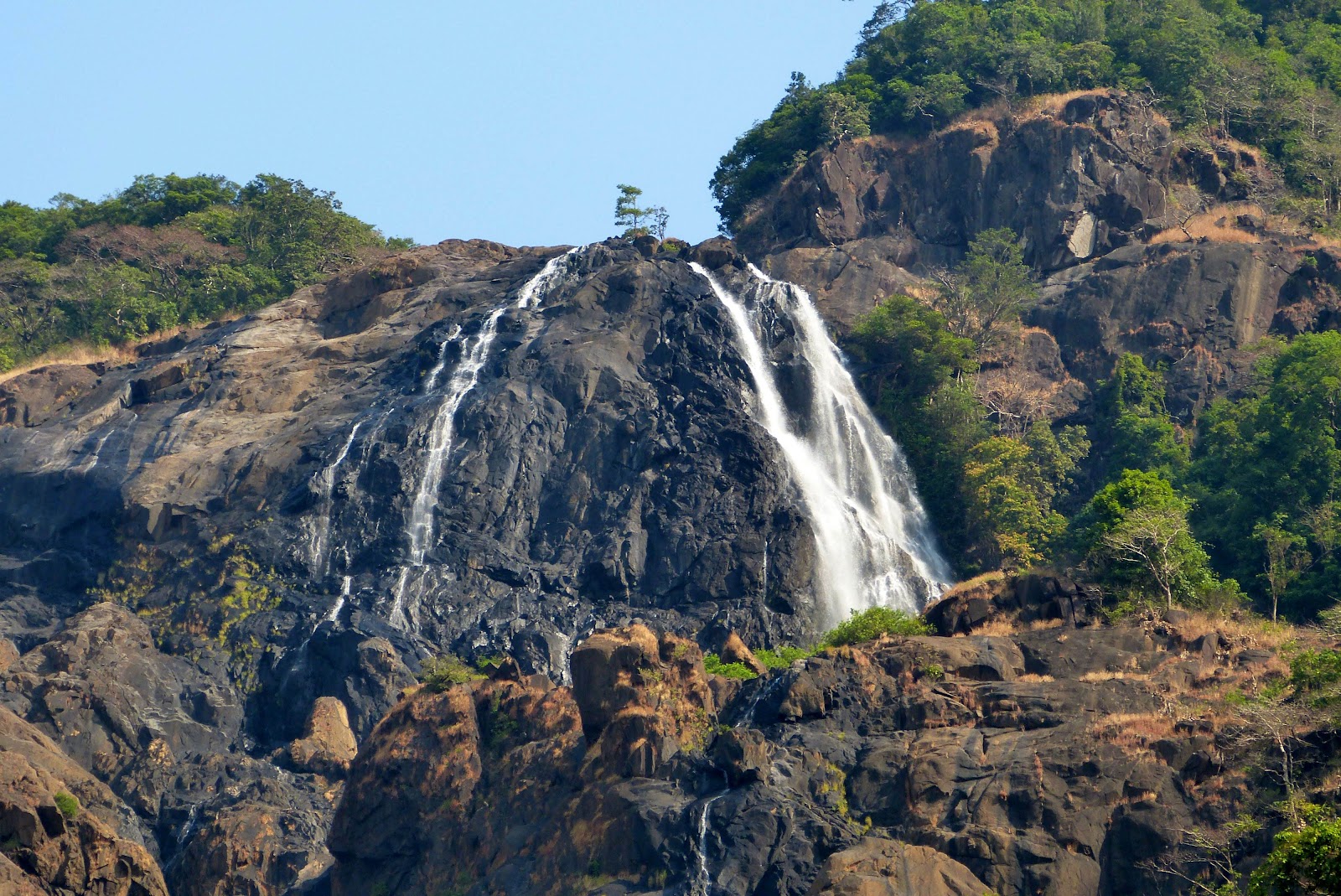 Bhagwan Mahavir Wildlife Sanctuary