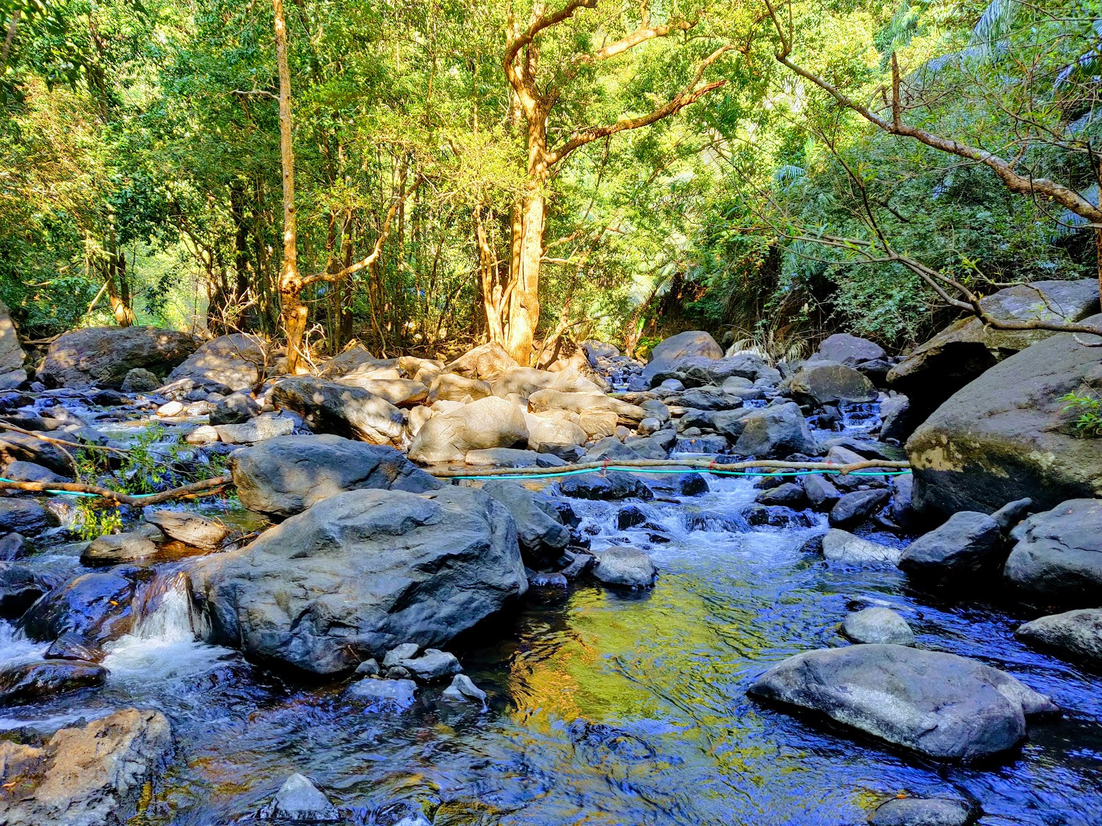 Bhagwan Mahavir Wildlife Sanctuary