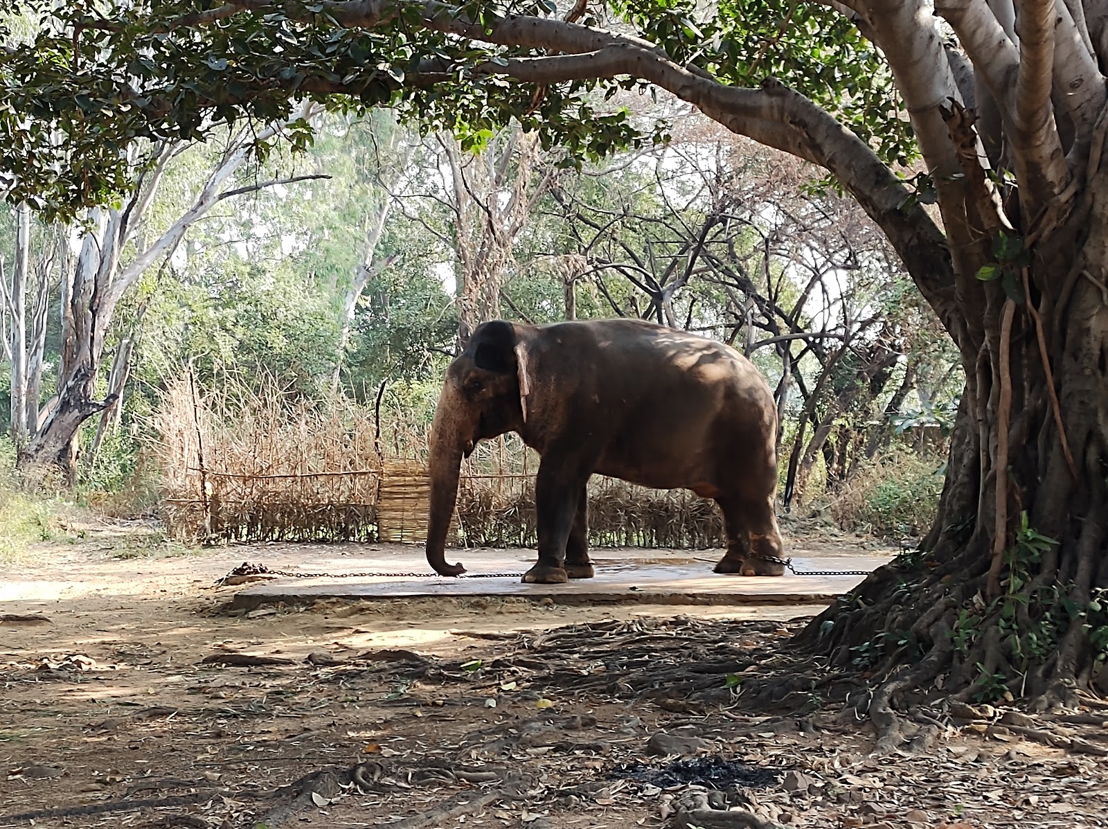 Debrigarh Wildlife Sanctuary