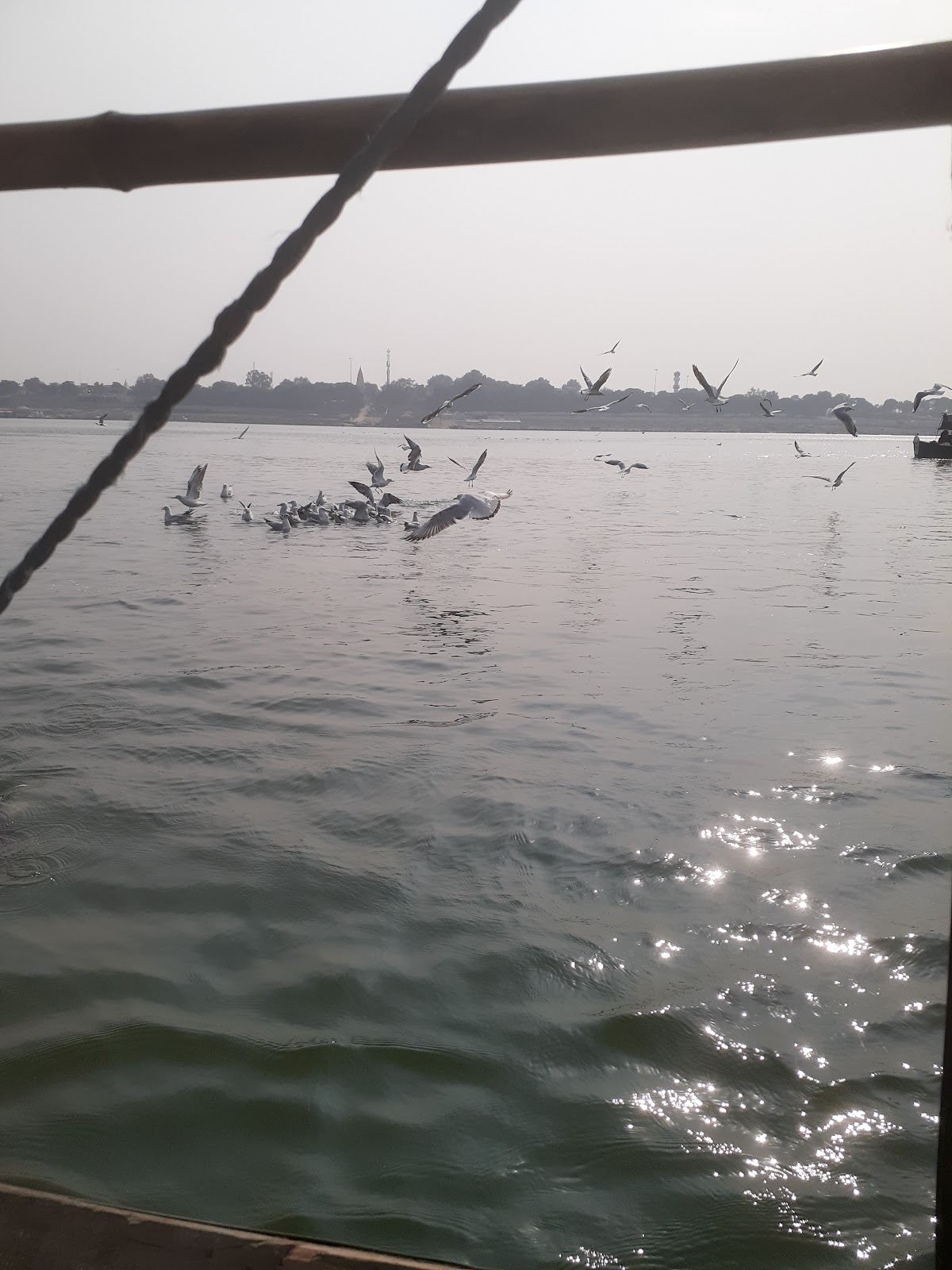 Triveni Sangam