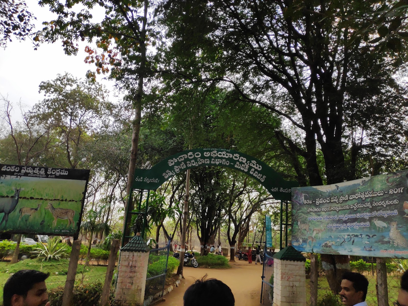 Pocharam Wildlife Sanctuary