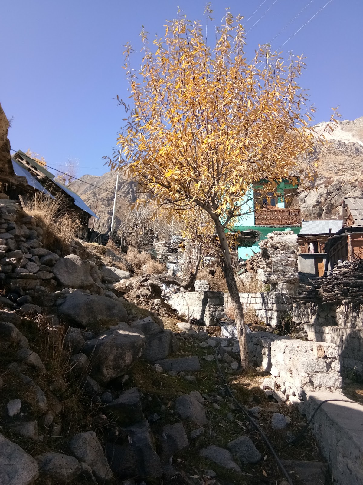 Chitkul Village